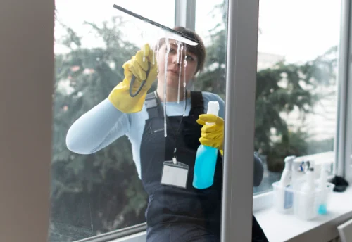 Nettoyage de vitres intérieures et extérieures à Bacilly